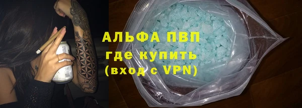 гашик Арсеньев