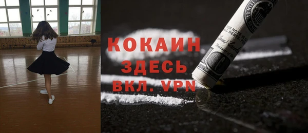 гашик Арсеньев