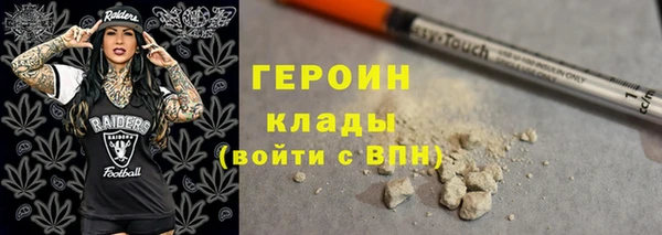 гашик Арсеньев