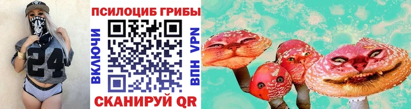 Псилоцибиновые грибы Psilocybine cubensis  кракен рабочий сайт  Боровичи 